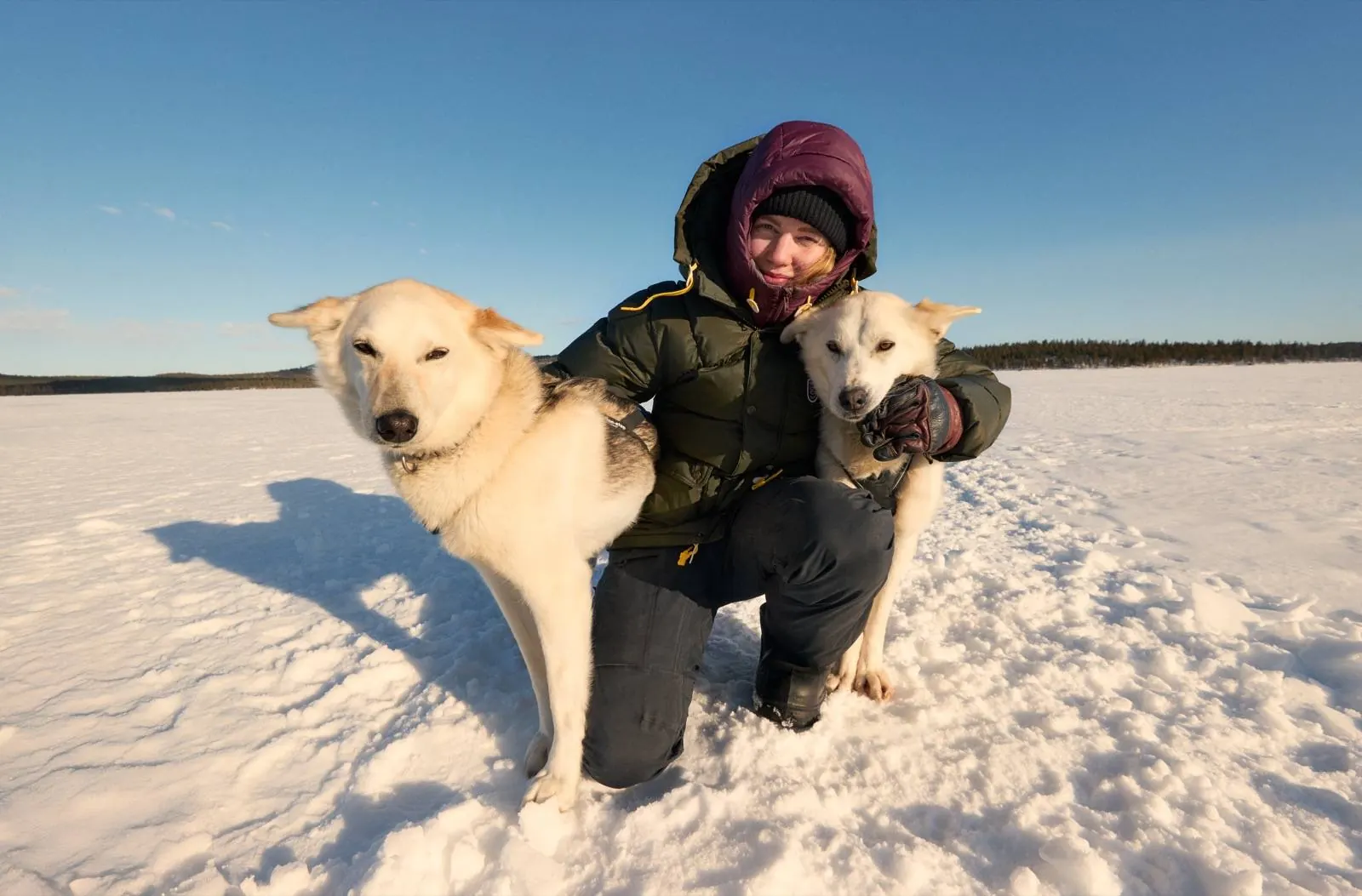 Person in einer olivgrünen Fjällräven Expedition Daunenjacke kniet lachend zwischen zwei Schlittenhunden auf einem verschneiten See