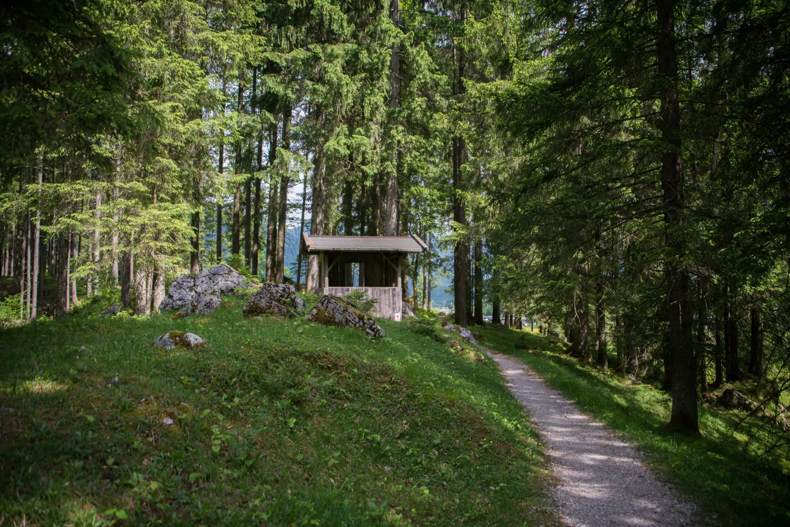 Schotterweg der Moserpromenade durch den Kellerwald bei St. Martin, daneben eine kleine Holzhütte zwischen Fichten
