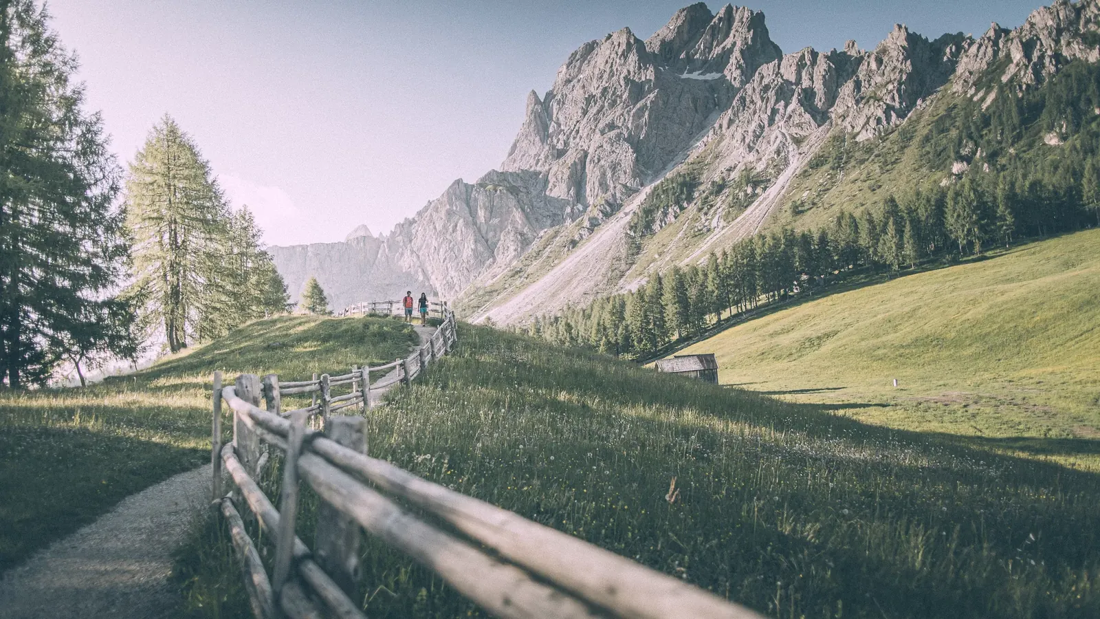 Wiesenweg an der Rotwand unter den Dolomitenwänden