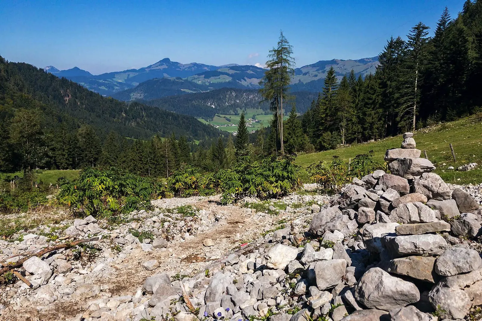 Steiniger Sommerweg am Heuberg mit Tiefblick zum Walchsee