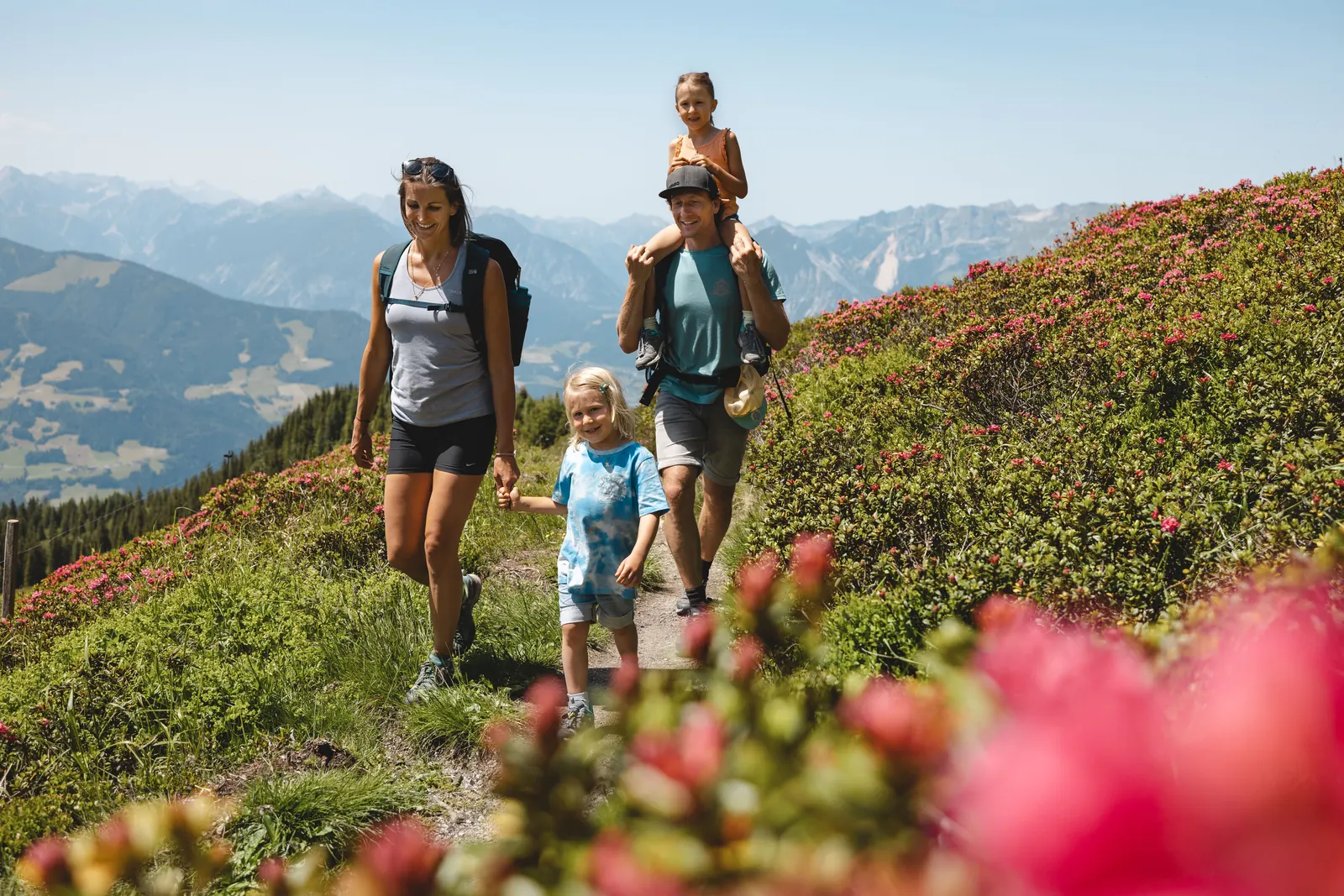 Familie zwischen blühenden Almrosen auf dem Panoramaweg am Wiedersberger Horn