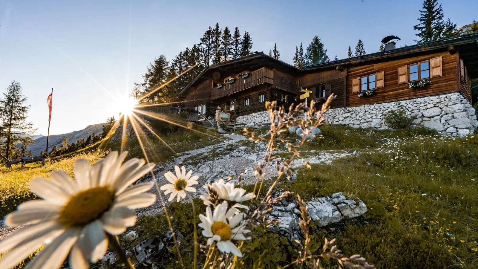 Pleisenhütte bei Scharnitz über blühenden Wiesen in der Abendsonne
