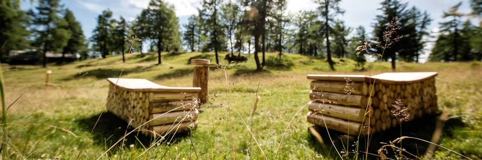 Holzliegen zwischen Wiesen und Lärchen am Naturschauplatz Eulenwiesen
