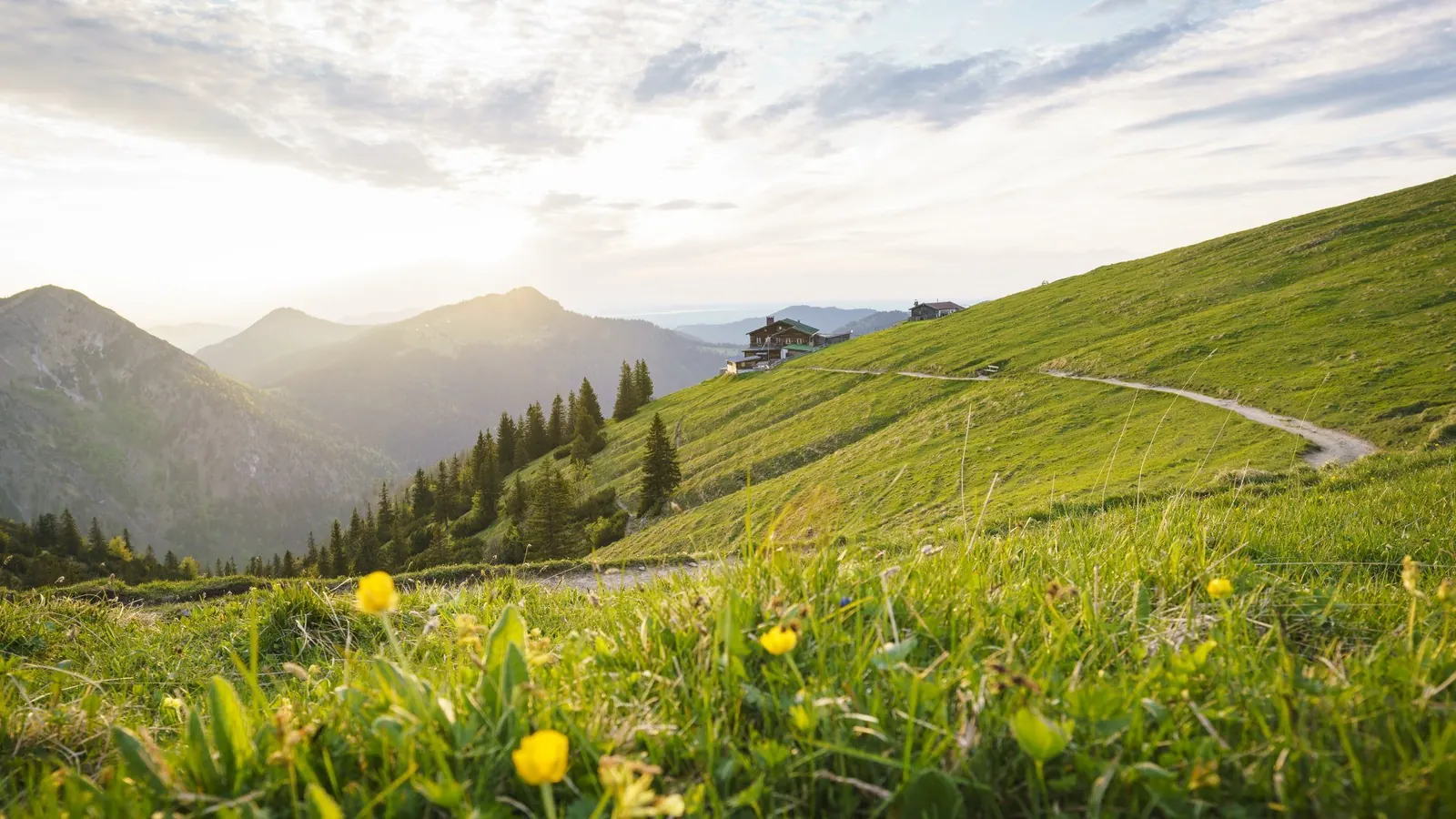 Wanderweg durch blühende Bergwiesen zum Hirschberghaus