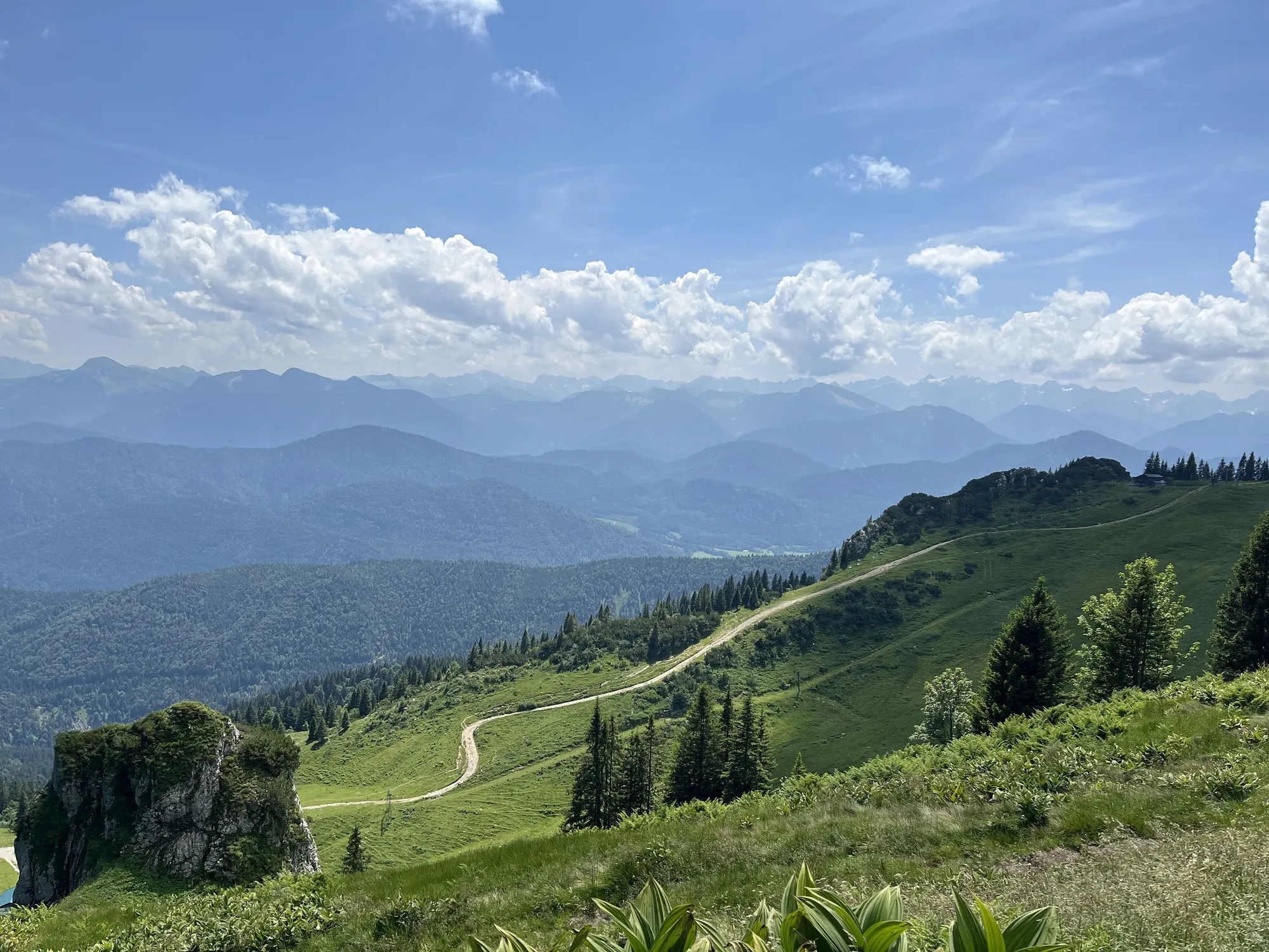 Wiesenhänge, Felsköpfe und Bergwald am Großen Höhenweg westlich des Braunecks