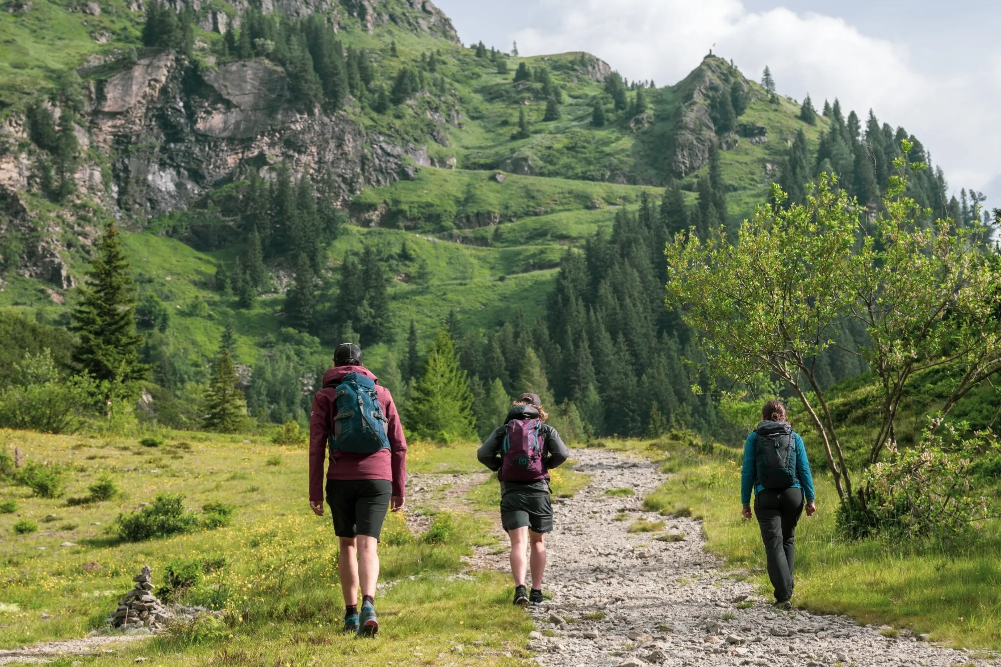 Wandernde auf einem grünen Bergweg von Sportgastein Richtung Bockhartsee
