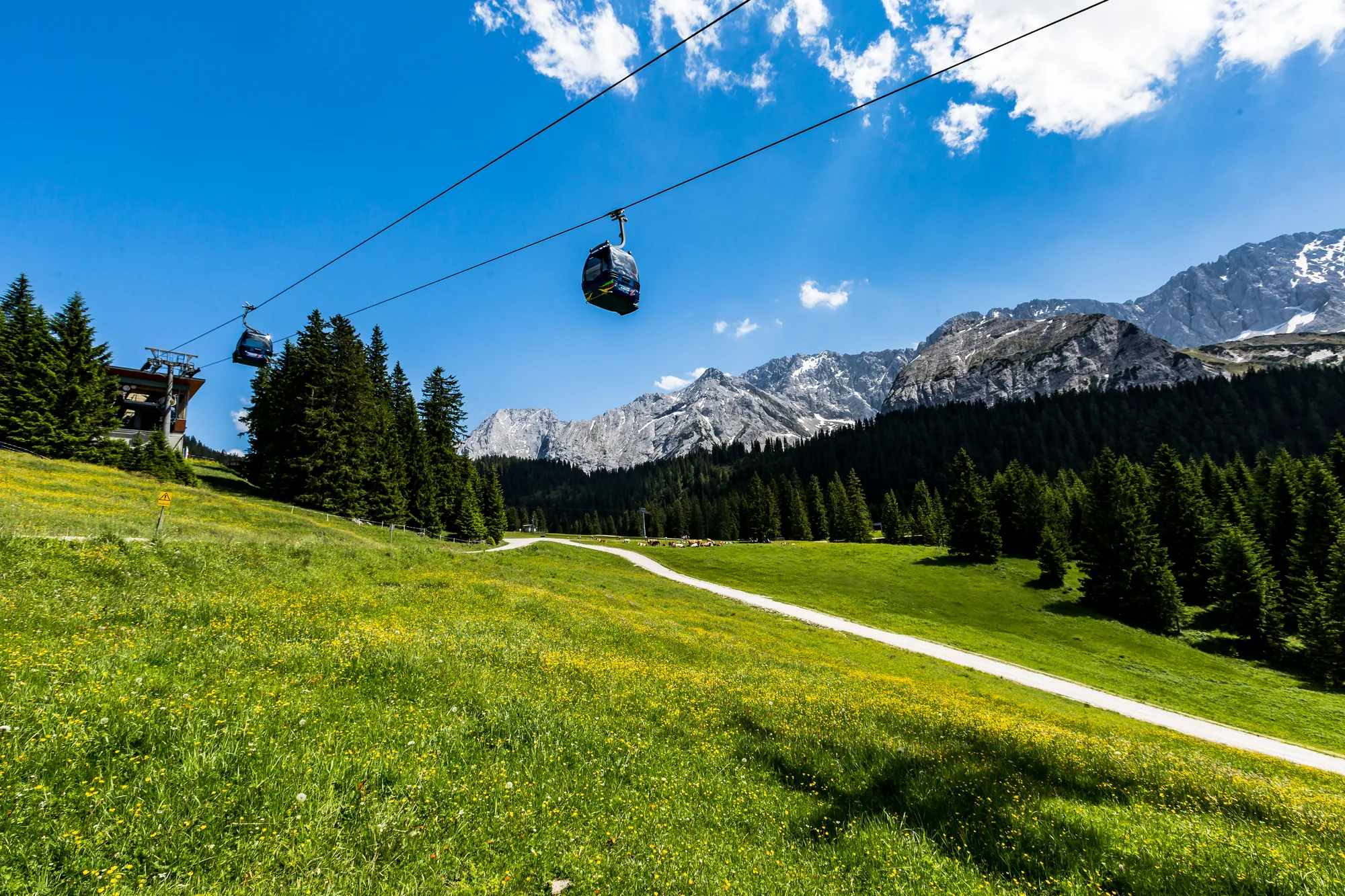 Gondeln der Ehrwalder Almbahn über einer grünen Wiese mit Wanderweg vor den Kalkbergen.