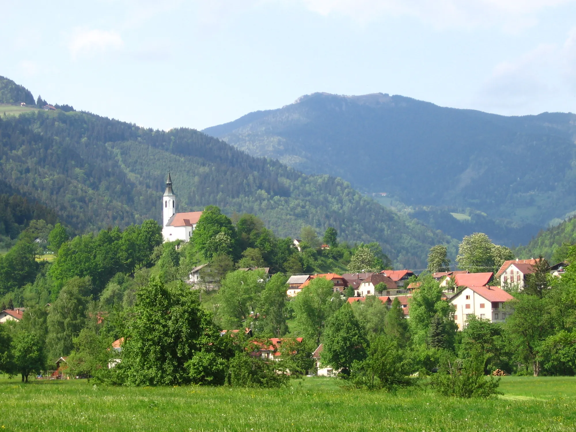 Ortsteil Rosulje von Ljubno ob Savinji mit weißer Kirche auf einem Hügel vor bewaldeten Bergen im Frühsommer
