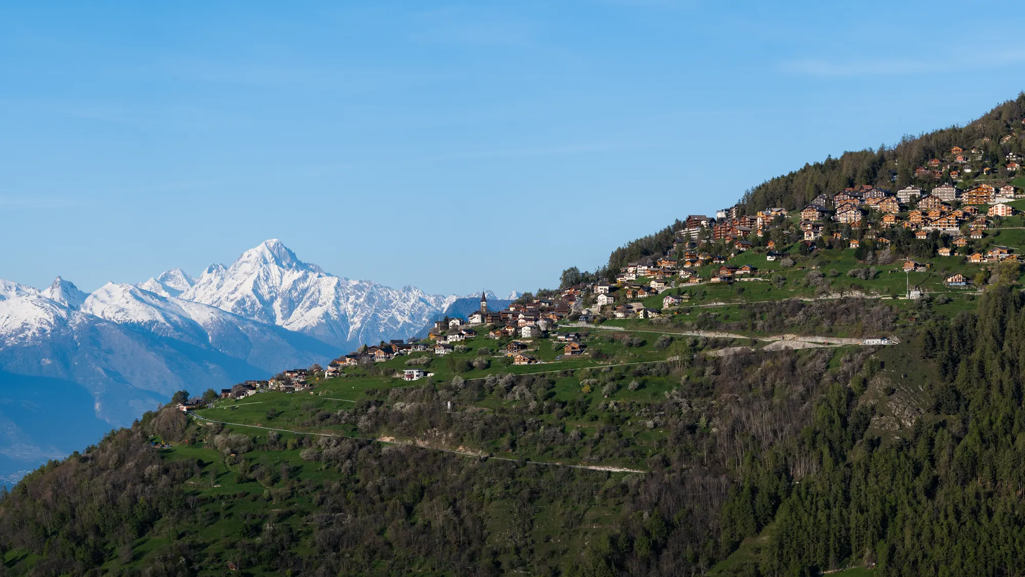 Veysonnaz am bewaldeten Hang, gesehen von Nendaz, mit schneebedeckten Gipfeln im Hintergrund im Frühling