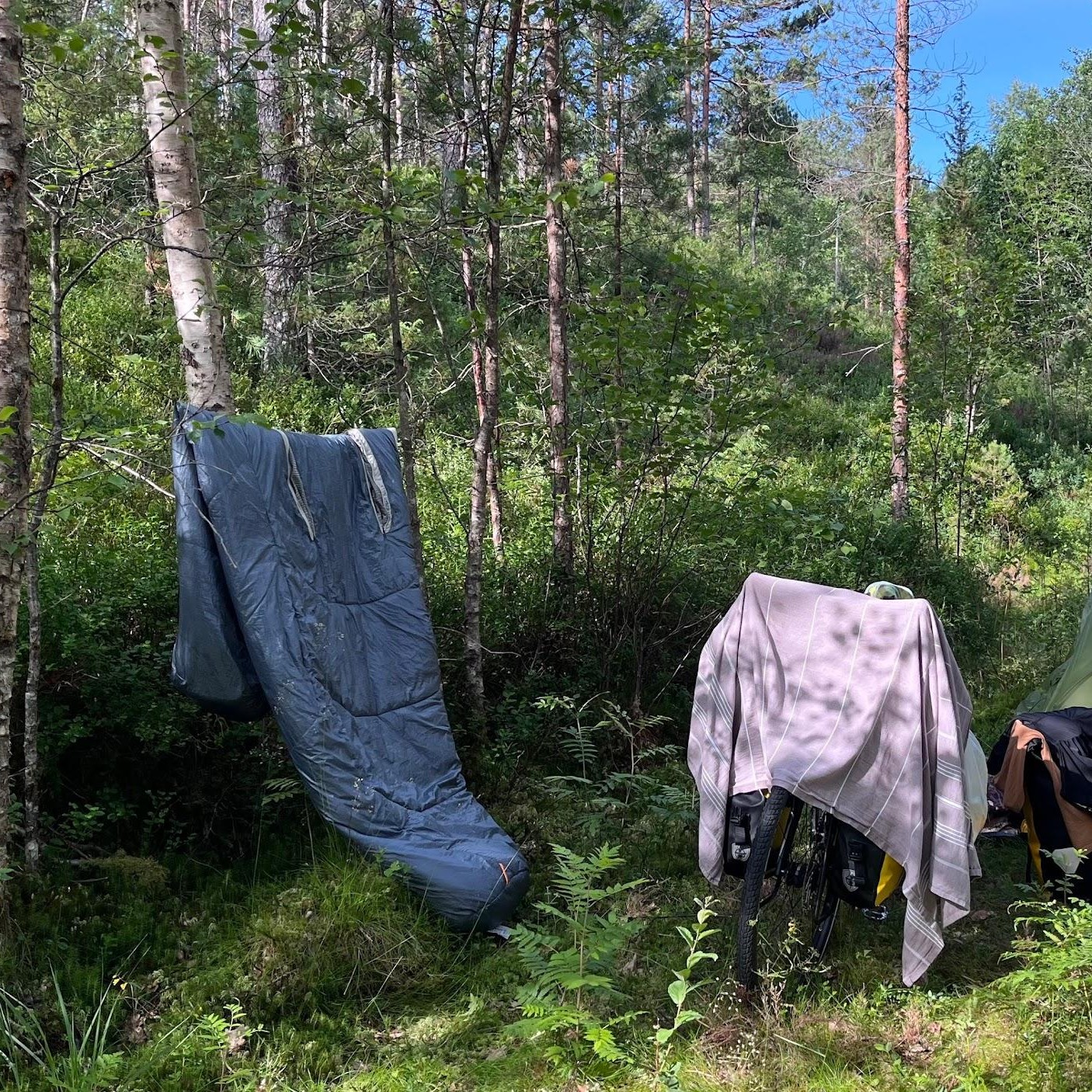 Nemo Forte Schlafsack zum Trocknen im Wald aufgehängt, Fahrrad daneben