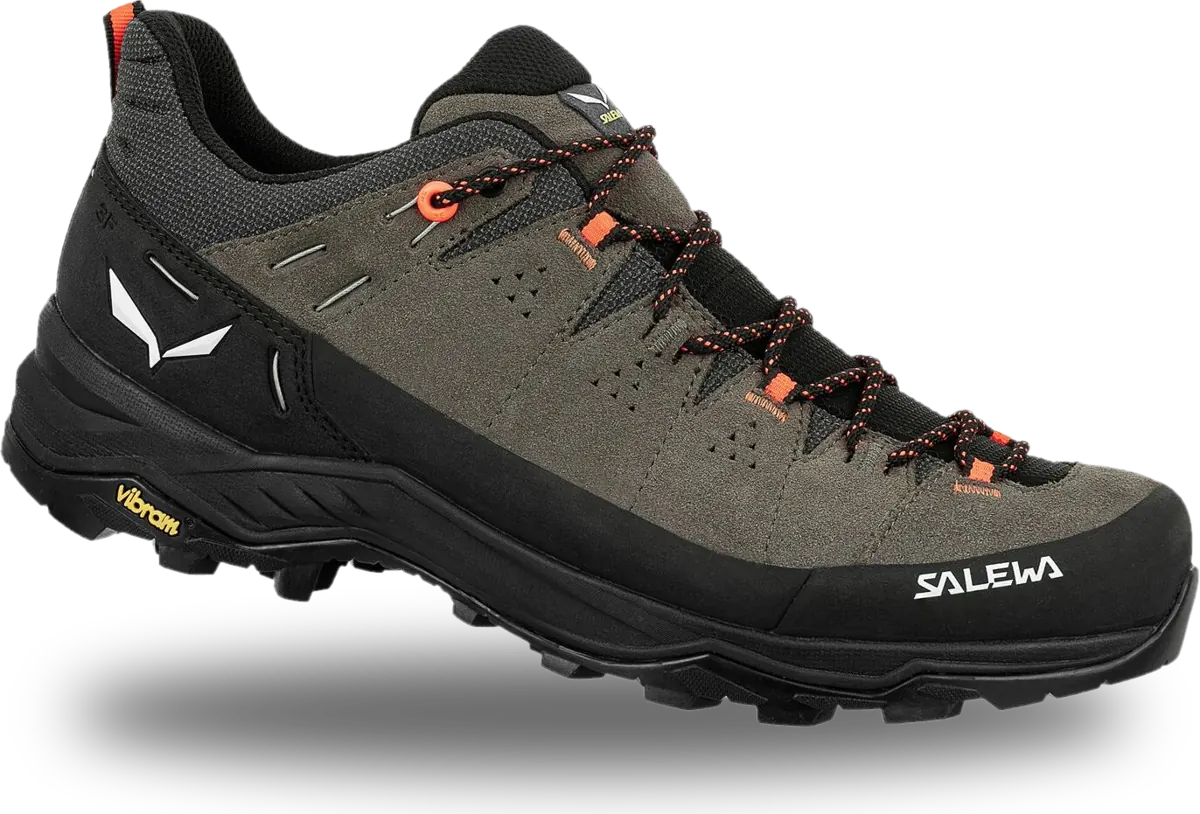 Salewa Alp Trainer 2 aus Veloursleder in Braun