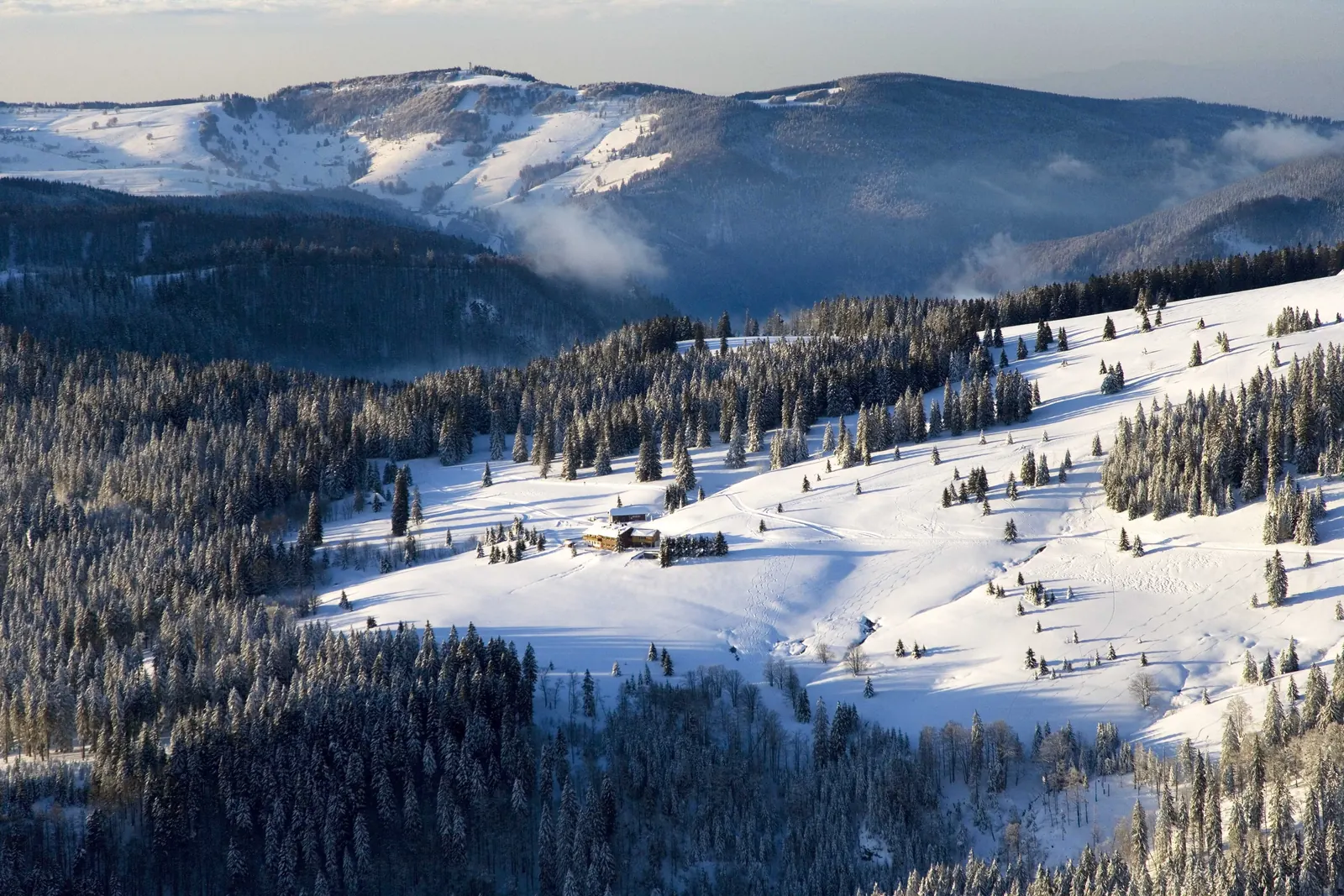 Verschneite Hochflächen und Wälder am Feldberg, im Hintergrund der lang gezogene, weiße Bergrücken