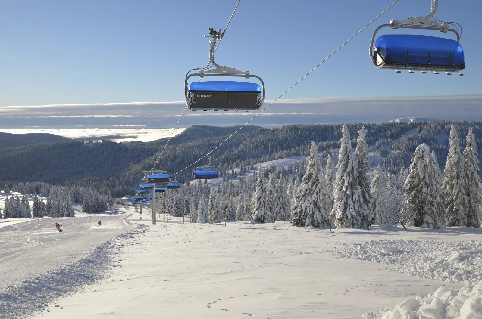 Sechsersessel mit blauen Hauben fahren über eine verschneite Piste mit Fichten am Feldberg