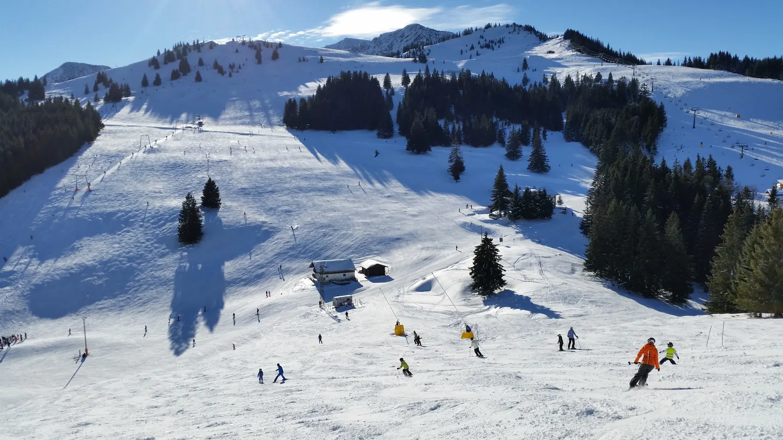Weite, sanft geneigte Skihänge mit Waldinseln und vielen Skifahrern unter blauem Himmel