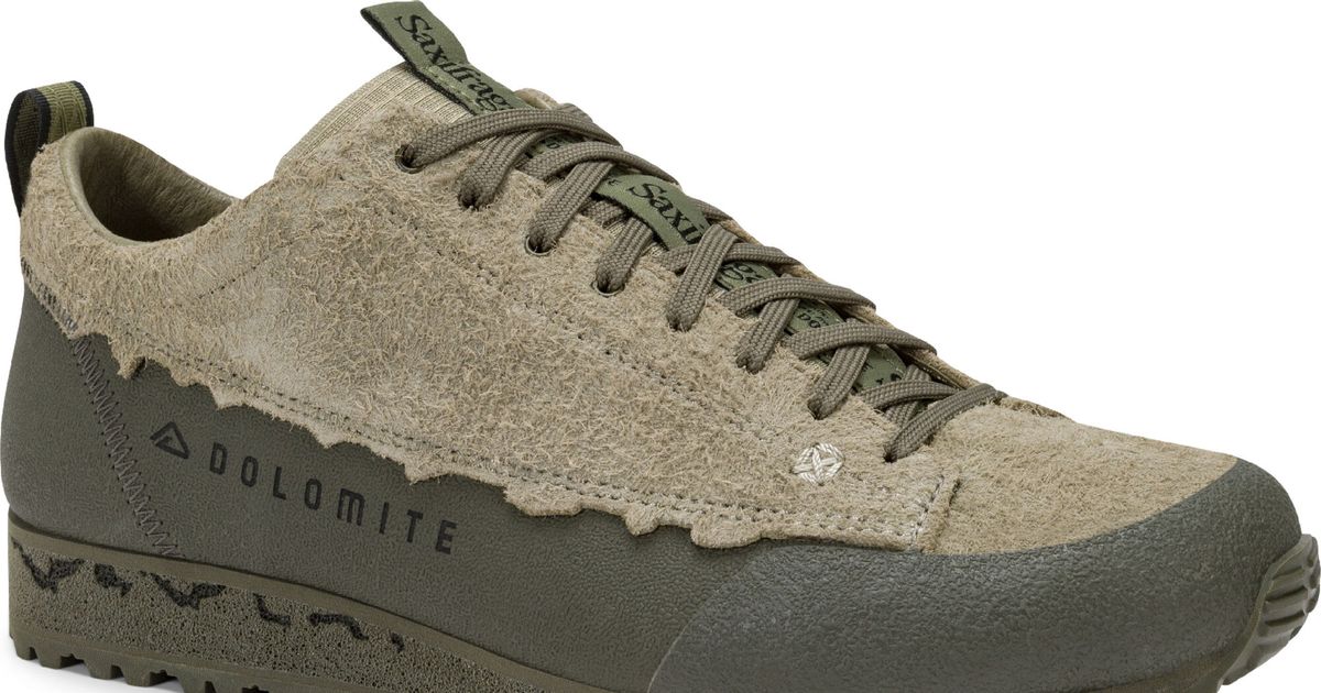 Dolomite 54 Low Saxifraga 3.0