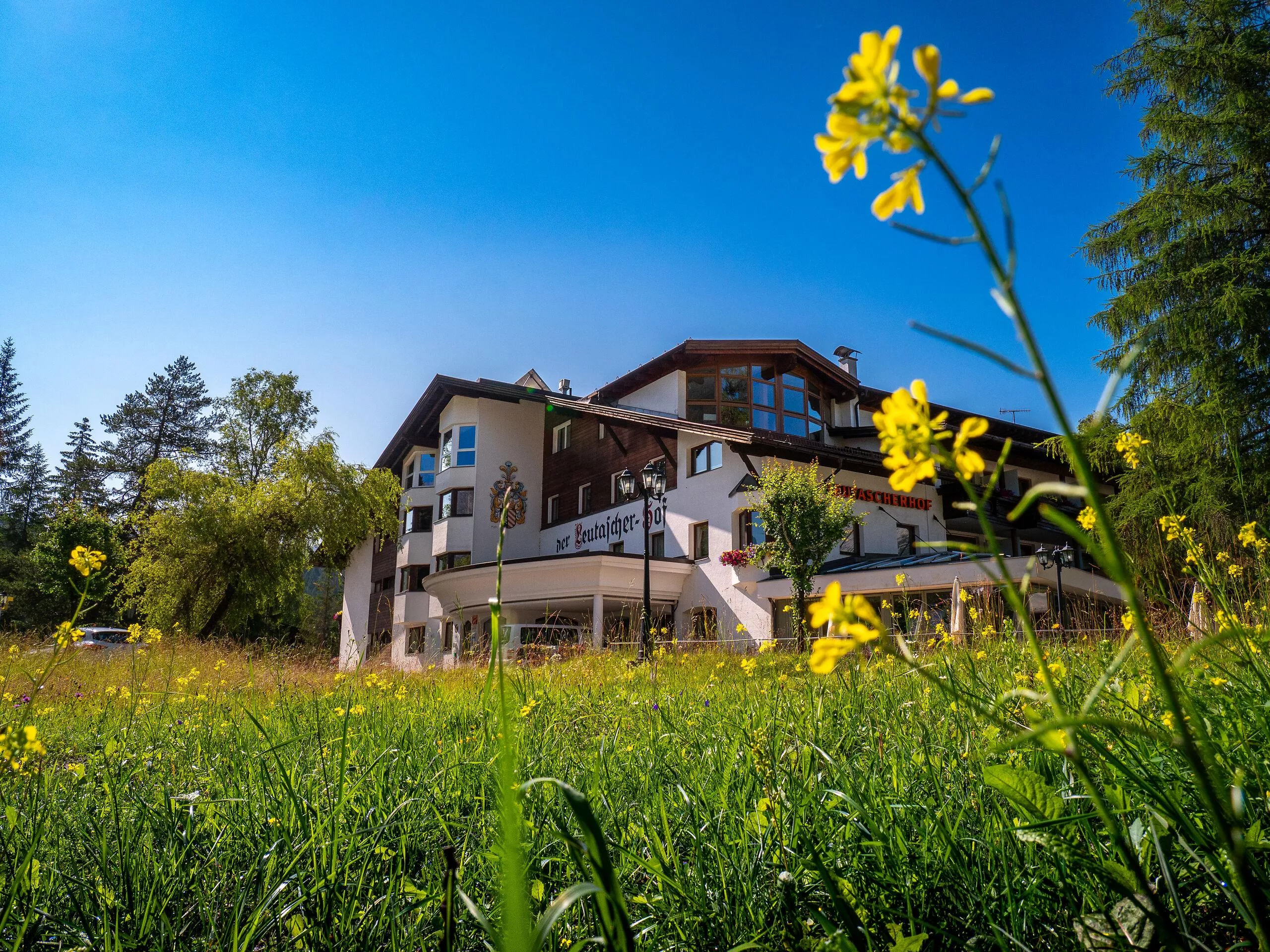Leutascherhof hinter einer blühenden Wiese in Leutasch