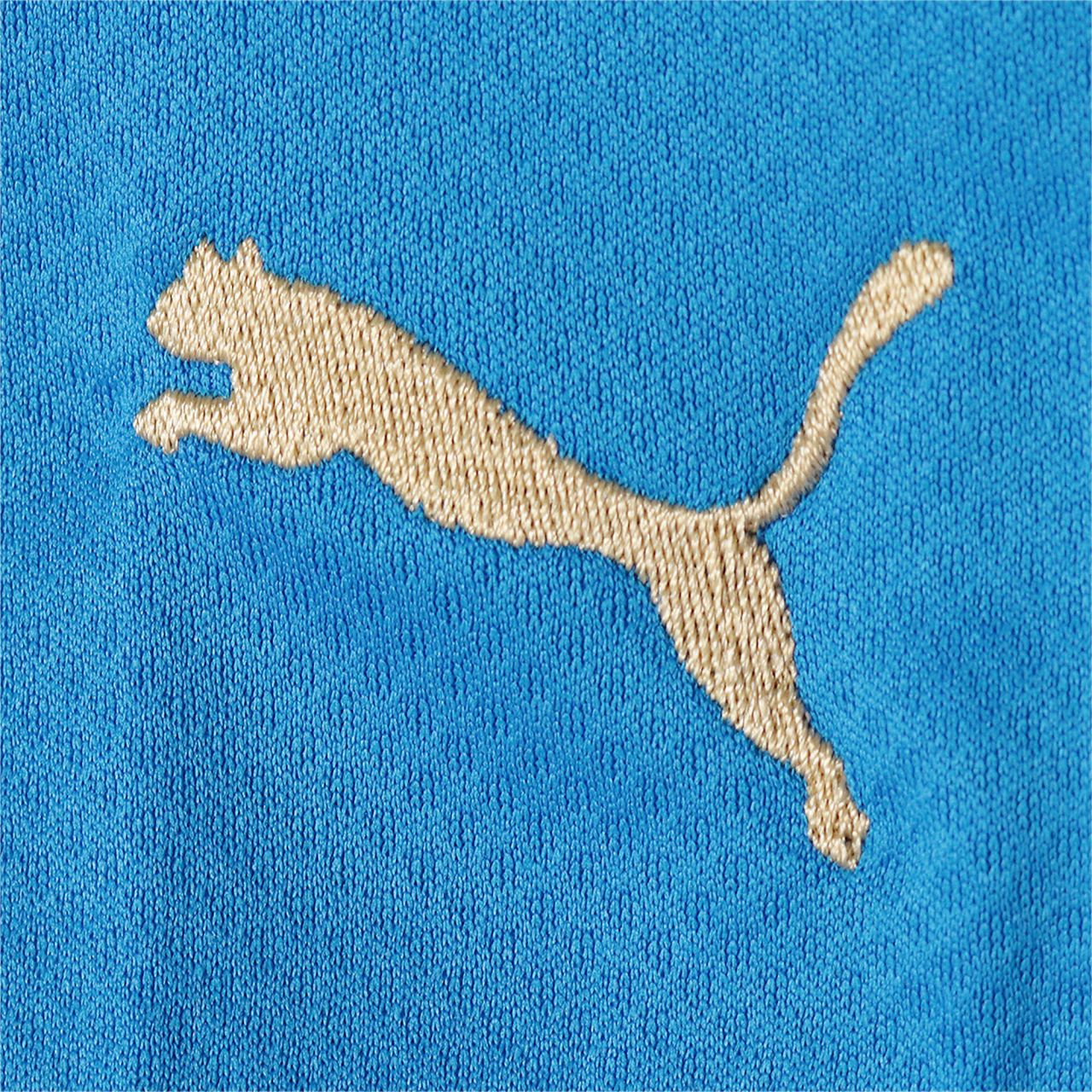 Puma Figc Home Jersey Replica | SportFits Shop