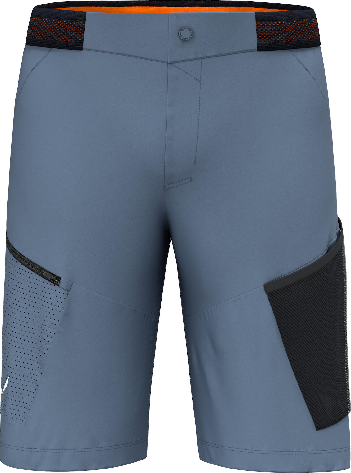 Pánské kraťasy Salewa Pedroc 3 Dst M Cargo Shorts